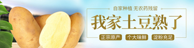 仪陇种植溯源直供平台 