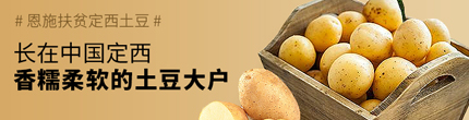 仪陇种植溯源直供平台 
