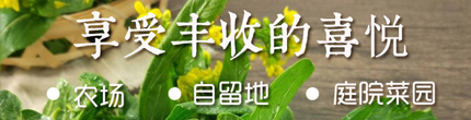 仪陇种植溯源直供平台 