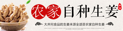仪陇种植溯源直供平台 