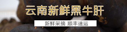 仪陇种植溯源直供平台 