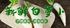 仪陇种植溯源直供平台 