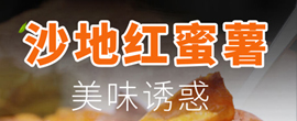 仪陇种植溯源直供平台 