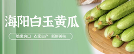 仪陇种植溯源直供平台 