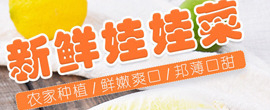仪陇种植溯源直供平台 