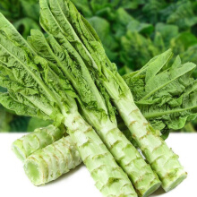 农家自种露天蔬菜新鲜莴笋紫叶青窝笋莴苣芦笋现挖现发5斤