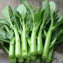 广东四季新鲜菜心菜苔当季甜菜心菜生鲜蔬菜 4斤