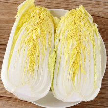 高山娃娃菜黄菜心三宝白菜露天种植蔬菜类新鲜坏单包赔 5斤