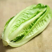 新鲜蔬菜 精品 沙拉菜 生菜 罗马生菜当季 6斤