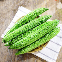山东新鲜苦瓜5斤 农家自种蔬菜当季凉瓜整箱批发
