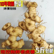 现挖新鲜多花姜形黄精泡酒泡水喝老虎姜10年纯野生货即食用猫耳姜 新鲜7年老黄精1斤