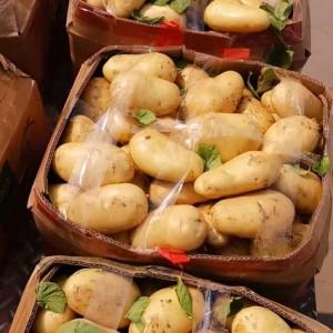 本地区常年求购高品质荷兰十五黄心土豆