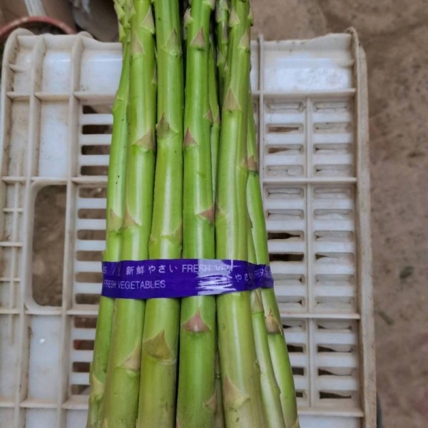 绿色新鲜芦笋基地直发，新鲜送达。
