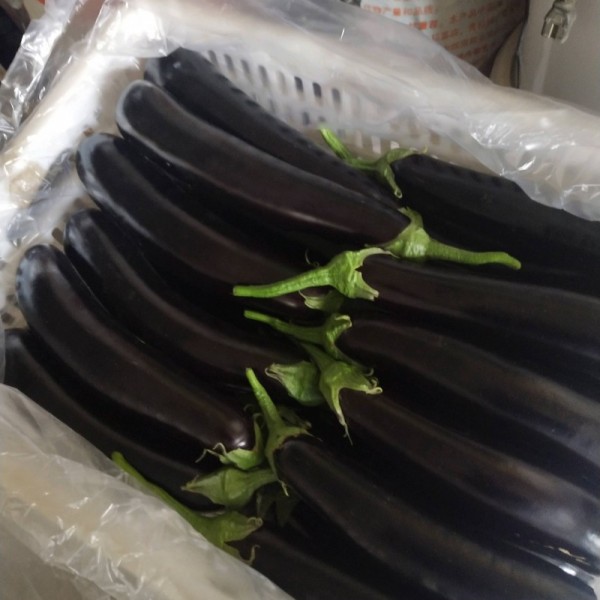 自家大棚种植有收购的可以联系