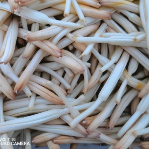 正宗大同产地黄花菜（干菜），全部现货，有需要的可以联系