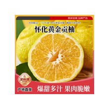 湖南怀化黄金贡柚 纯甜新鲜水果春香柚象山青黄金柑时令柚子礼盒 4.5斤 甄选果王80-90m
