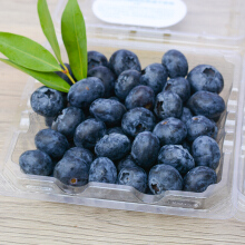 云南蓝莓鲜果12盒当季整箱新鲜蓝莓水果护眼非怡颗莓 【尝鲜】2盒装(果径14-18mm)